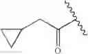 Fig. 20 - Oximyl macrocyclic derivatives