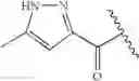 Fig. 204 - Oximyl macrocyclic derivatives