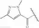 Fig. 205 - Oximyl macrocyclic derivatives