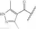 Fig. 208 - Oximyl macrocyclic derivatives