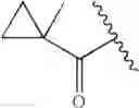 Fig. 21 - Oximyl macrocyclic derivatives