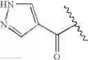Fig. 23 - Oximyl macrocyclic derivatives