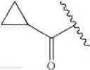 Fig. 33 - Oximyl macrocyclic derivatives