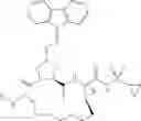 Fig. 80 - Oximyl macrocyclic derivatives