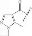 Fig. 90 - Oximyl macrocyclic derivatives