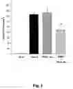 Fig. 02 - FIBRIN GLUE COMPOSITION FOR REPAIRING NERVE DAMAGE AND METHODS THEREOF