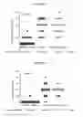 Fig. 02 - Combinations of SAP depleting agents and anti-SAP antibodies
