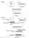 Fig. 49 - Glycoengineered, recombinant antibody