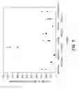 Fig. 04 - Methods and reagents for vaccination which generate A CD8 T cell immune response