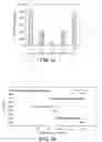 Fig. 16 - Methods and reagents for vaccination which generate A CD8 T cell immune response