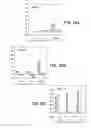 Fig. 19 - Methods and reagents for vaccination which generate A CD8 T cell immune response