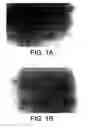 Fig. 02 - Efficient liposomal encapsulation