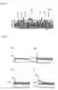 Fig. 02 - Electrode for nonaqueous electrolyte secondary battery