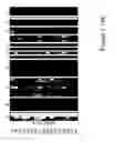 Fig. 197 - METHODS AND NUCLEIC ACIDS FOR THE ANALYSIS OF GENE EXPRESSION ASSOCIATED WITH TISSUE CLASSIFICATION