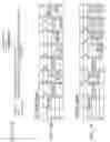 Fig. 18 - Chase Ligation Sequencing