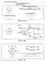 Fig. 55 - Chase Ligation Sequencing