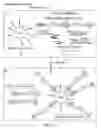 Fig. 56 - Chase Ligation Sequencing