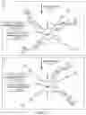 Fig. 57 - Chase Ligation Sequencing