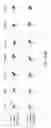 Fig. 71 - Chase Ligation Sequencing