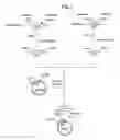 Fig. 02 - Process for producing dipeptides