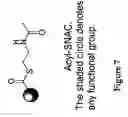 Fig. 08 - Methods and materials for making simvastatin and related compounds