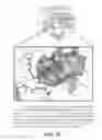 Fig. 09 - Synthetic enzymes derived from computational design