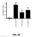 Fig. 07 - COMPOUNDS AND METHODS FOR MODULATING INTEGRIN ACTIVITY