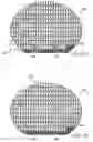 Fig. 07 - Method of arranging dies in a wafer for easy inkless partial wafer process