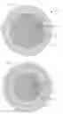 Fig. 02 - Polyalkenamer compositions and golf balls prepared therefrom
