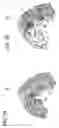 Fig. 08 - Resin pulley