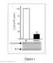 Fig. 02 - METHOD FOR AUGMENTING THE EFFECTS OF SEROTONIN REUPTAKE INHIBITORS