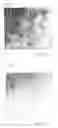 Fig. 02 - Curable composition