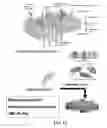 Fig. 02 - Nanolipoprotein particles and related methods and systems for protein capture, solubilization, and/or purification