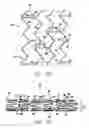 Fig. 06 - Intravascular stent with a plurality of first and second peaks