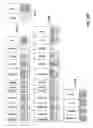 Fig. 35 - Multiple dimensioned database architecture