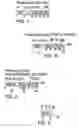 Fig. 02 - Parsing-enhancement facility using a translate-and-test instruction