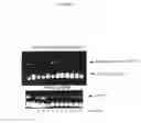 Fig. 04 - Animals, cells and methods for production of detectably-labeled antibodies