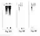 Fig. 07 - Methods and compositions for RNA interference