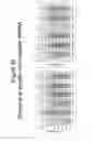 Fig. 35 - Methods and compositions for RNA interference