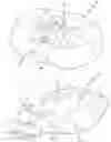 Fig. 01 - Weight activated restraining pillow