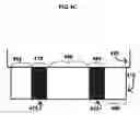 Fig. 07 - Composition and method to treat a termite infestation
