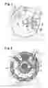 Fig. 02 - Rotary piston type internal combustion engine