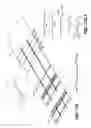 Fig. 20 - HIGH-STRENGTH THREE-DIMENSIONAL STRUCTURE AND METHOD OF MANUFACTURE