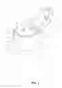 Fig. 02 - Cap