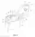 Fig. 09 - Cap
