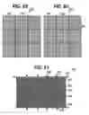 Fig. 55 - Live conductor stringing and splicing method and apparatus