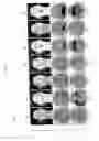 Fig. 04 - Facial performance synthesis using deformation driven polynomial displacement maps