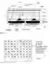 Fig. 06 - Optical correction for high uniformity panel lights