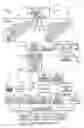 Fig. 01 - Stereoscopic image generation using retinal rivalry in scene transitions