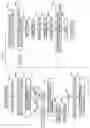 Fig. 08 - Optical burst receiver and method